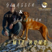 Gelassen und gemeinsam mit Hund