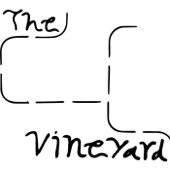 The Vineyard Podcast
