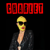 Charlet - Tagebuch einer Dragqueen